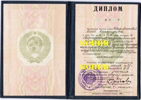 Документ преподавателя Дронова Елена Александровна