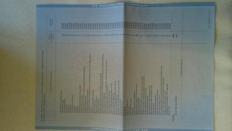 Документ преподавателя Киселёва Мария Александровна