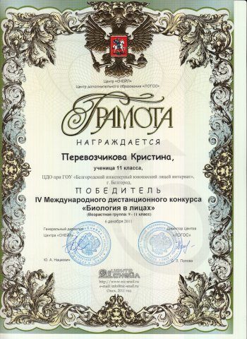 Документ преподавателя Сопина Вера Владимировна