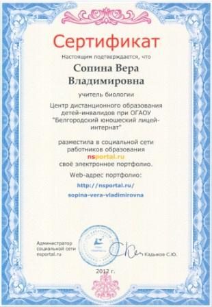 Документ преподавателя Сопина Вера Владимировна