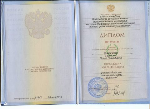 Документ преподавателя Сазонoва Ольга Геннадьевна