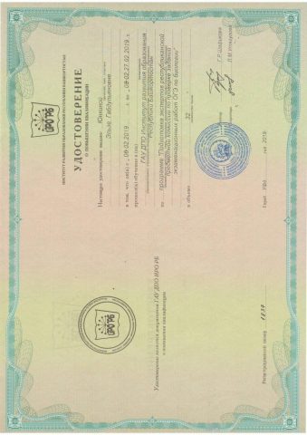 Документ преподавателя Юнкина Эльза Габдульяновна