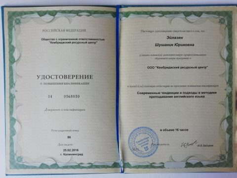 Документ преподавателя Эйлазян Шушаник Юриковна