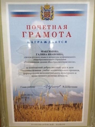 Документ преподавателя Максимова Галина Ивановна