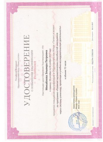 Документ преподавателя Михайлова Эльвира Петровна