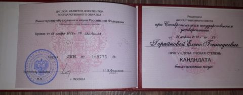 Документ преподавателя Горяйнова Елена Геннадиевна