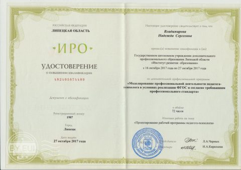 Документ преподавателя Владимирова Надежда Сергеевна