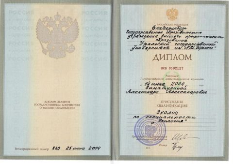 Документ преподавателя Гинатулина Александра Александровна