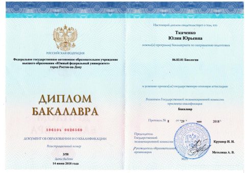Документ преподавателя Ткаченко Юлия Юрьевна