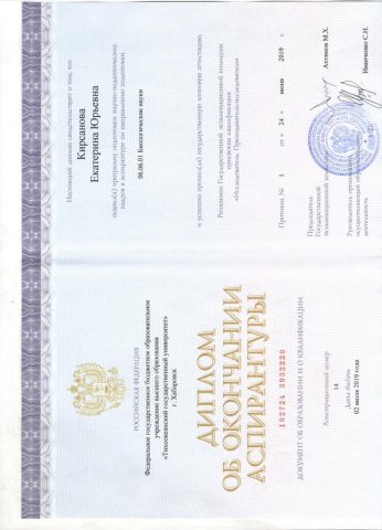 Документ преподавателя Кирсанова Екатерина Юрьевна