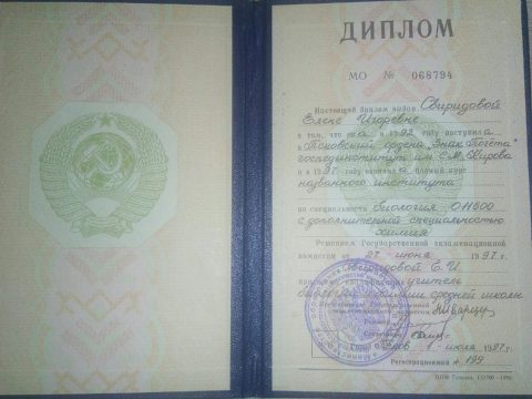 Документ преподавателя Зиновьева Елена Игоревна