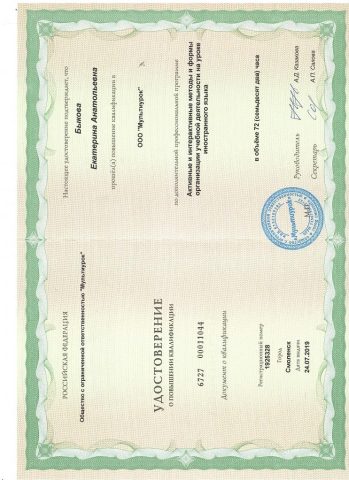 Документ преподавателя Быкова Екатерина Анатольевна