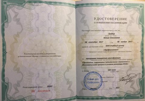 Документ преподавателя Бадер Юлия Олеговна