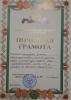 Документ преподавателя Шингарова Замира Рахметуллаховна