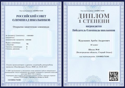 Документ преподавателя Курлыкин Артём Андреевич