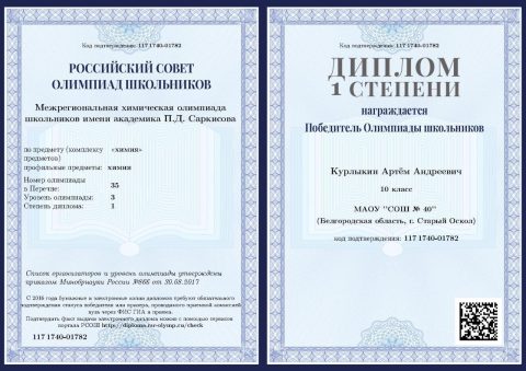 Документ преподавателя Курлыкин Артём Андреевич