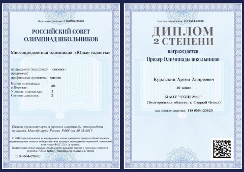 Документ преподавателя Курлыкин Артём Андреевич