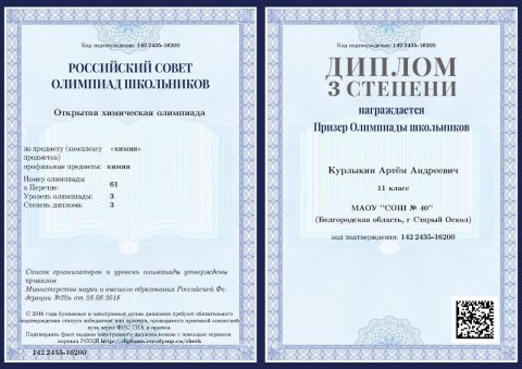 Документ преподавателя Курлыкин Артём Андреевич