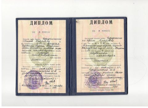 Документ преподавателя Чередниченко Ирина Петровна