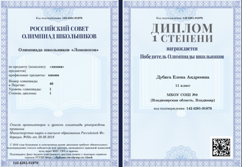 Документ преподавателя Дубяга Елена Андреевна