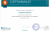 Документ преподавателя Смирнова Валерия Алексеевна