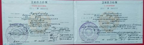 Документ преподавателя Вьюгина Елена Андреевна