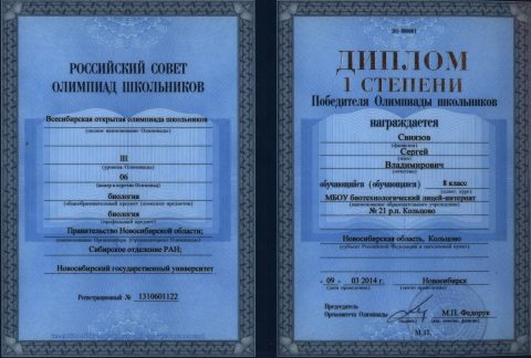Документ преподавателя Свиязов Сергей Владимирович