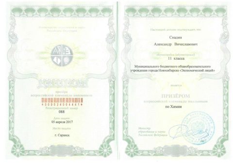 Документ преподавателя Снадин Александр Вячеславович