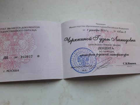 Документ преподавателя Черюкина Гузель Леонидовна