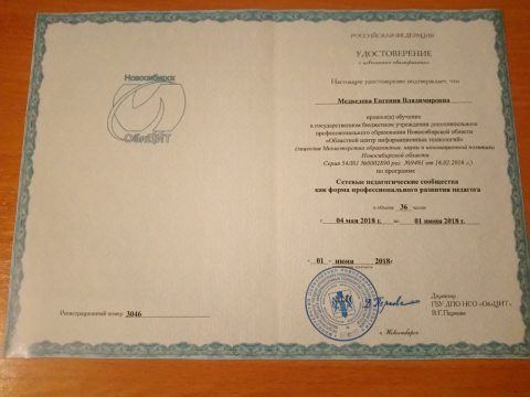 Документ преподавателя Медведева Евгения