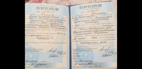Документ преподавателя Толстова Алена  Александровна
