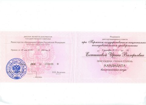 Документ преподавателя Елтышева Ирина