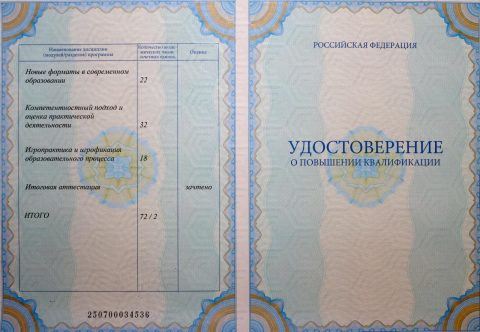 Документ преподавателя Дрюк Сергей Андреевич