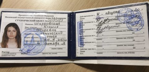Документ преподавателя Шарковская Ксения Игоревна