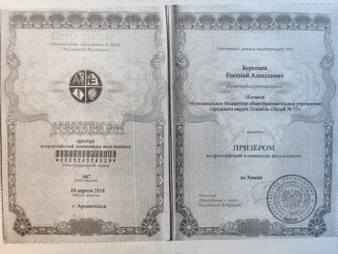 Документ преподавателя Берсенев Евгений Алексеевич