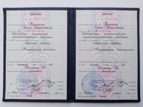 Документ преподавателя Полевой Сергей Алексеевич