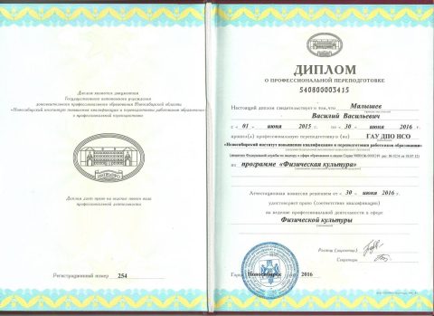 Документ преподавателя Малышев Василий Васильевич