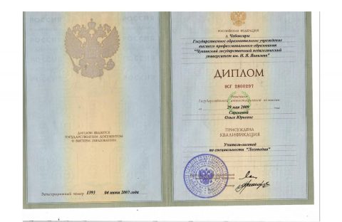 Документ преподавателя Кашина Ольга Юрьевна