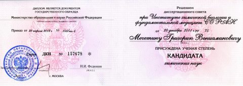 Документ преподавателя Мечетин Григорий Вениаминович