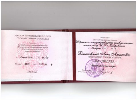 Документ преподавателя Вишневская Анна Алексеевна