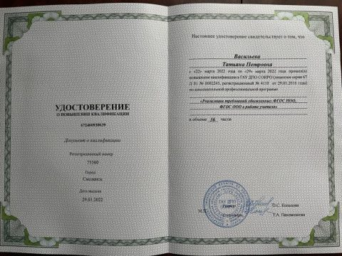 Документ преподавателя Васильева Татьяна Петровна