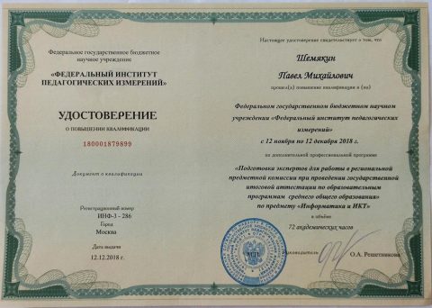 Документ преподавателя Шемякин Павел Михайлович