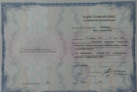 Документ преподавателя Шемякин Павел Михайлович