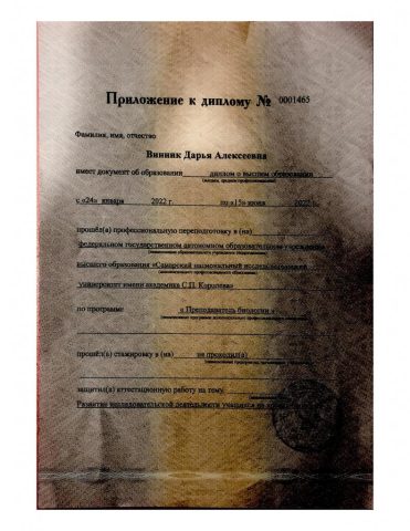 Документ преподавателя Винник Дарья Алексеевна