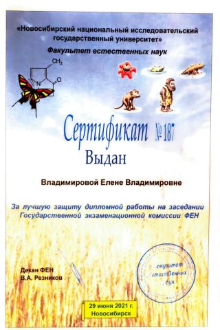 Документ преподавателя Владимирова Елена