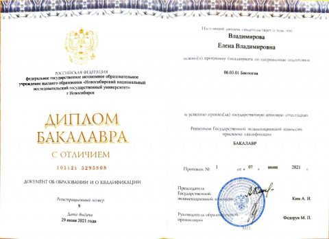 Документ преподавателя Владимирова Елена