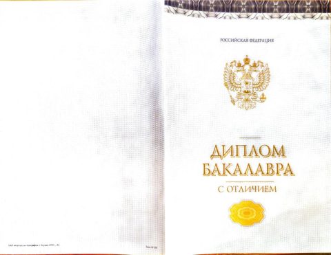 Документ преподавателя Владимирова Елена