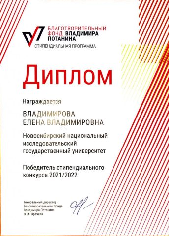 Документ преподавателя Владимирова Елена