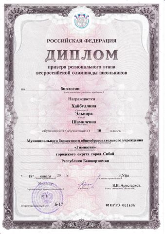 Документ преподавателя Хайбуллина Эльвира