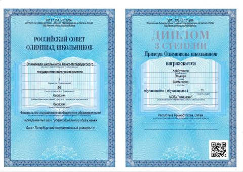 Документ преподавателя Хайбуллина Эльвира
